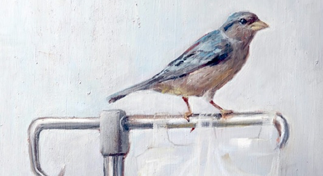 Marta Sanz presenta 'Amarilla'